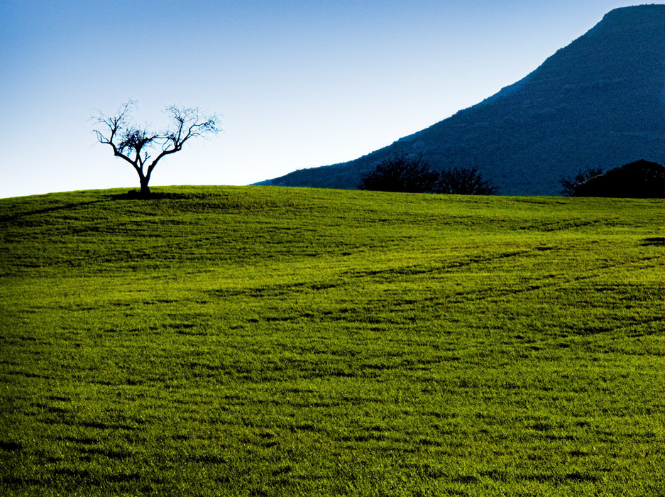 .: 02:02:2007 15:32 :.