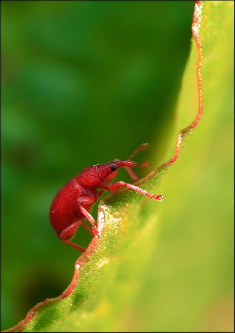 in salita.. la � dura