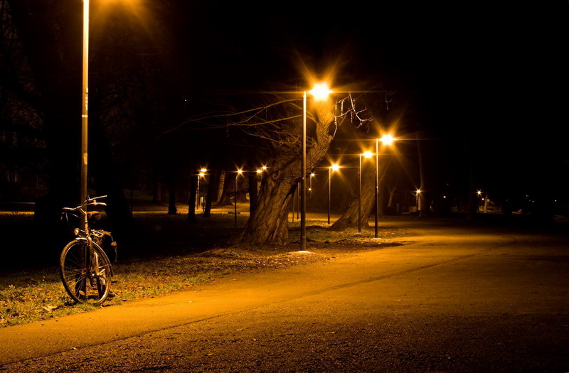 il parco di notte
