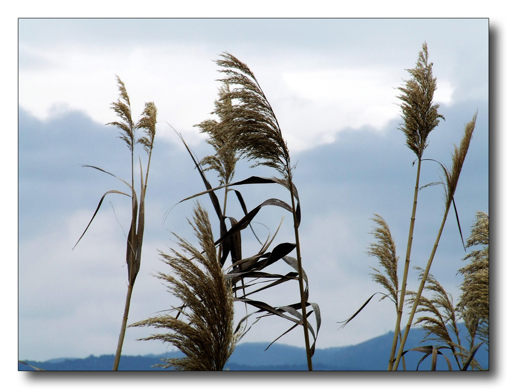 Sfiorando le nuvole..