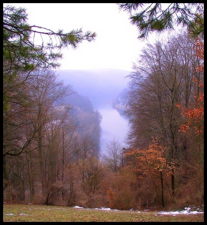 Danubio nella nebbia