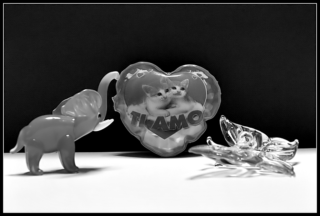 L'elefante e la farfalla