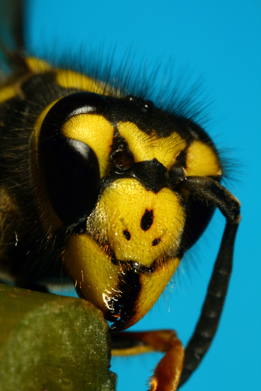 L'ultima della serie.....