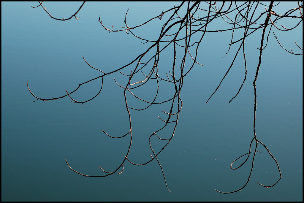 Protesi verso l'acqua