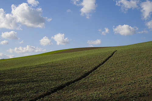 Profili di "Marca" 3