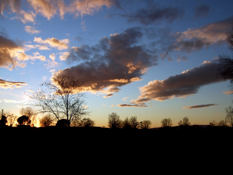 tardo pomeriggio alle cascine