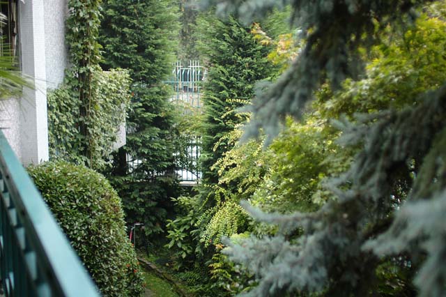 Epson RD1 - Leica Summilux 50/1,4