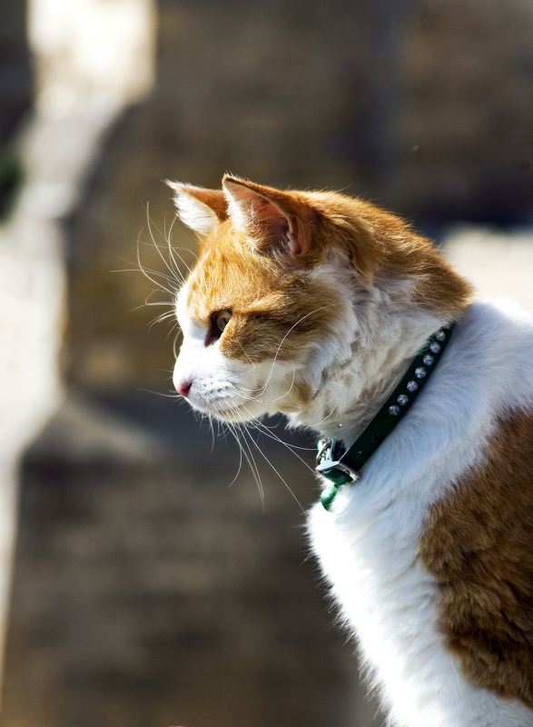 ci sta qualcosa che non va!