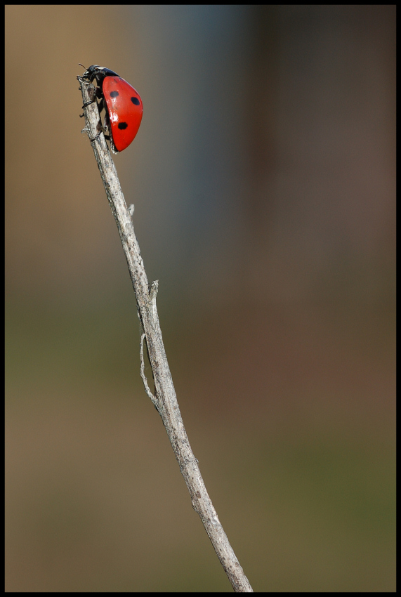 finalmente in cima!!