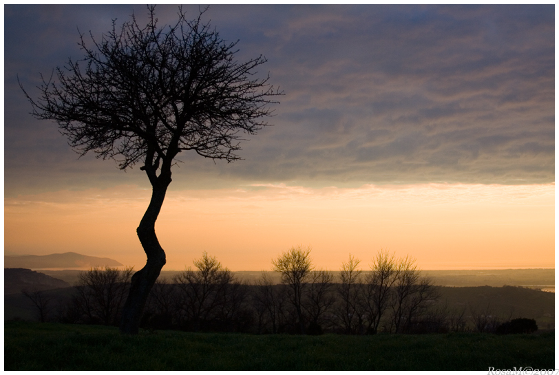 Controluce al crepuscolo