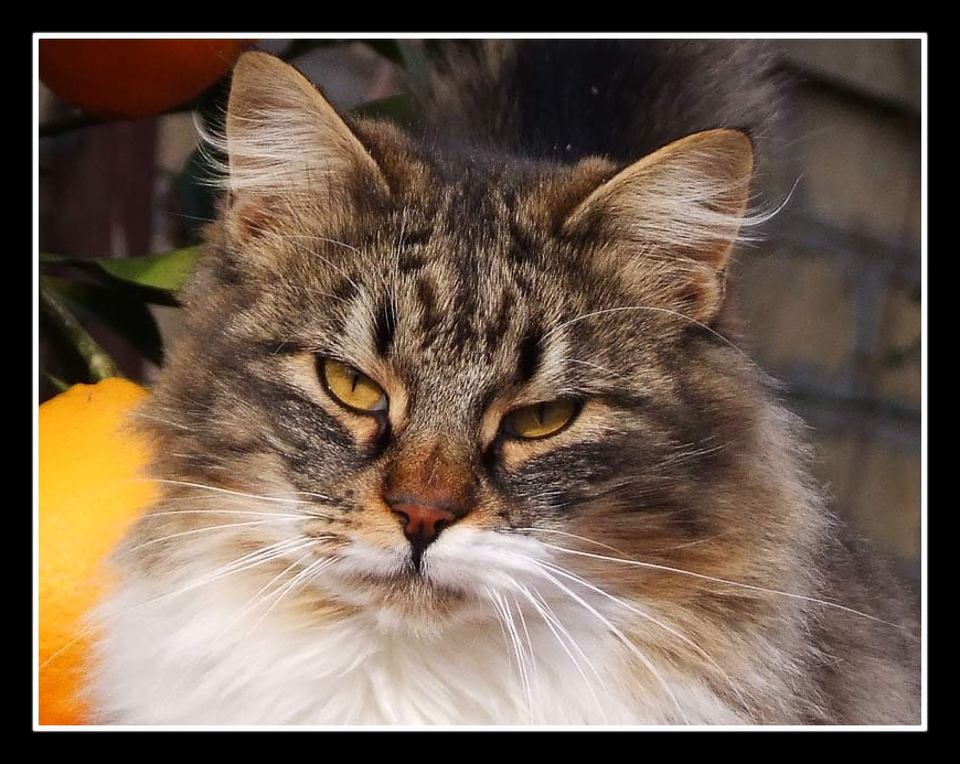 Ma senti questo........