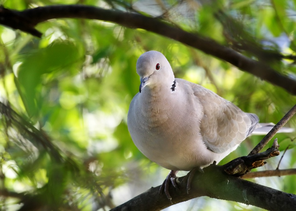 Riparto quando cala il vento.......