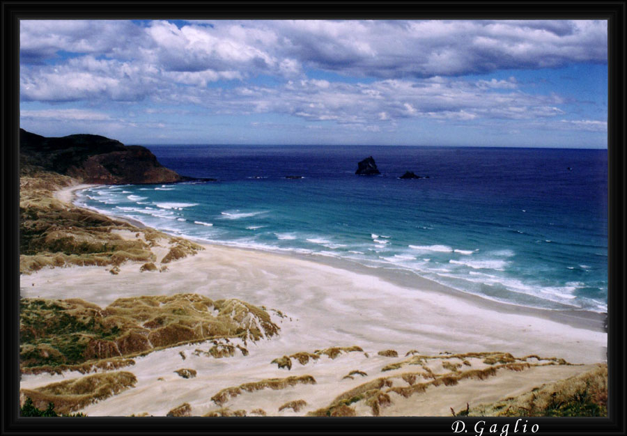 Opera Ammessa al Campionato Italiano Fot.Naturalistica 2005
