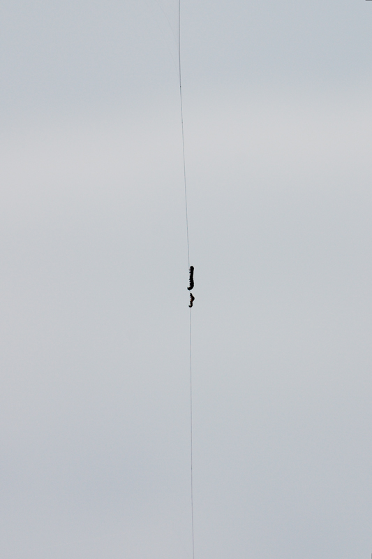 chi ha la precedenza?