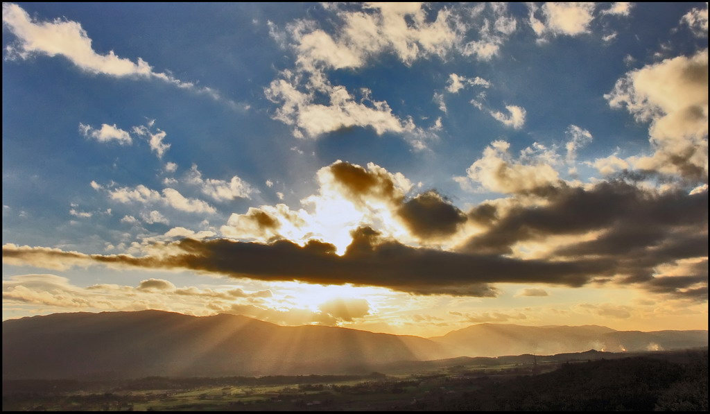 Thi land is my land 3