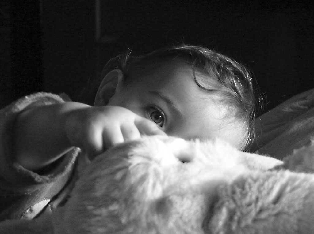 Stella e il coniglio