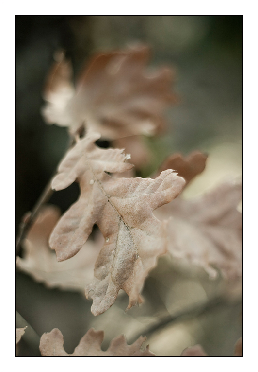 E' ancora inverno....