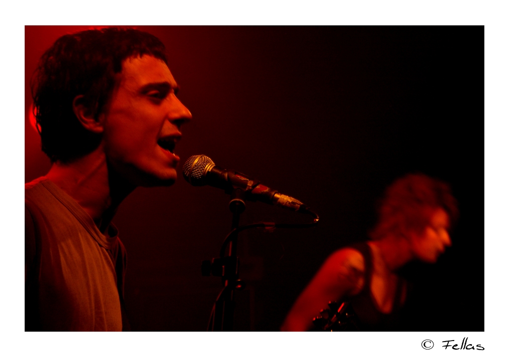 semplicemente verdena