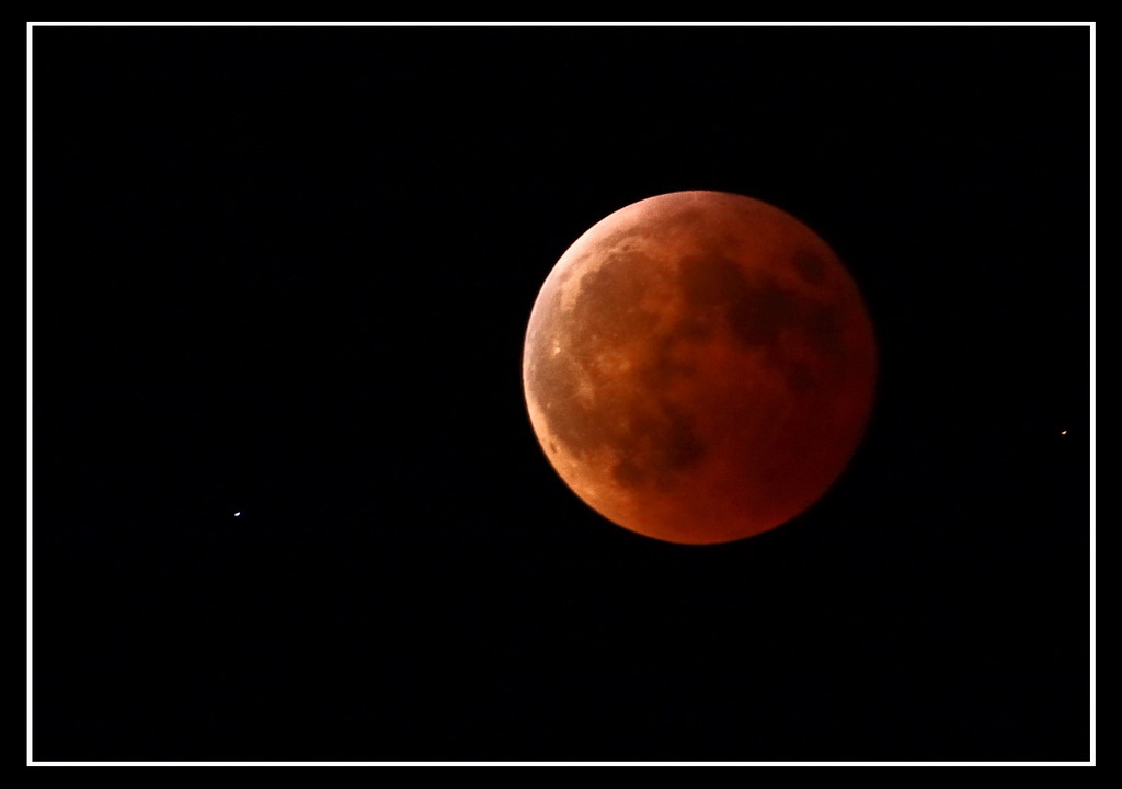 La mia Signora in rosso