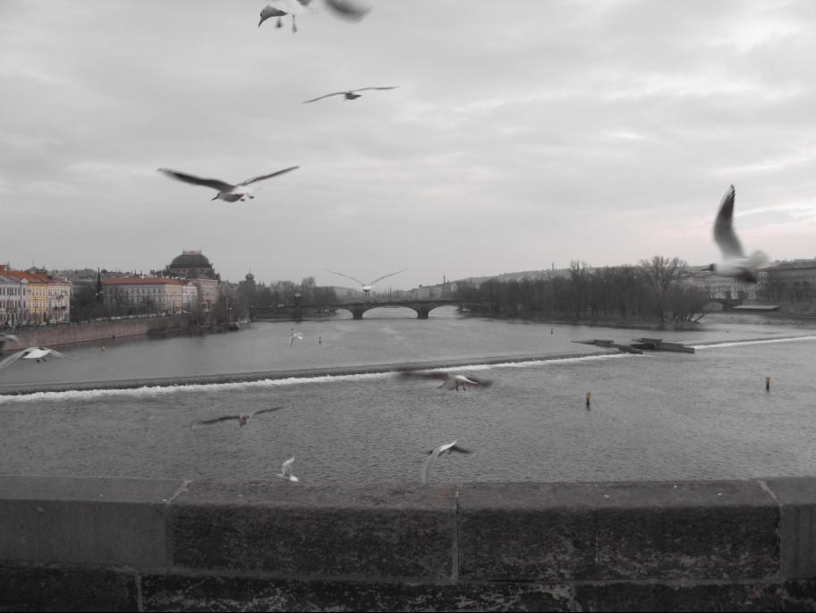 ponte carlo 2