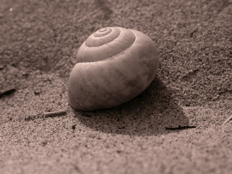 Img2006_08_24-16-24-45