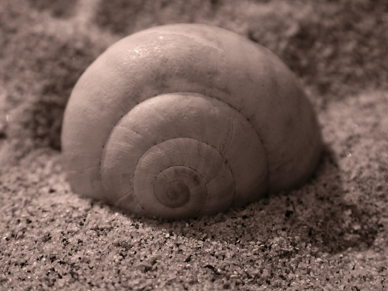 Img2006_08_24-16-25-23