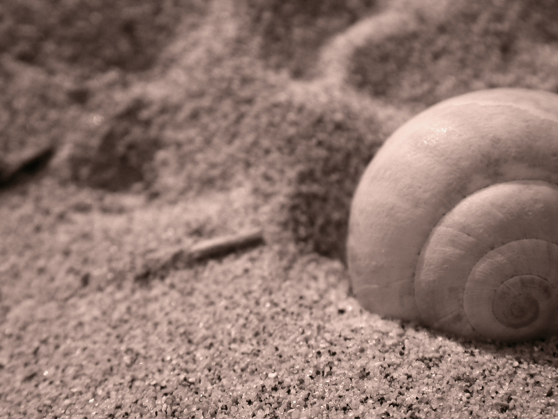 Img2006_08_24-16-25-39