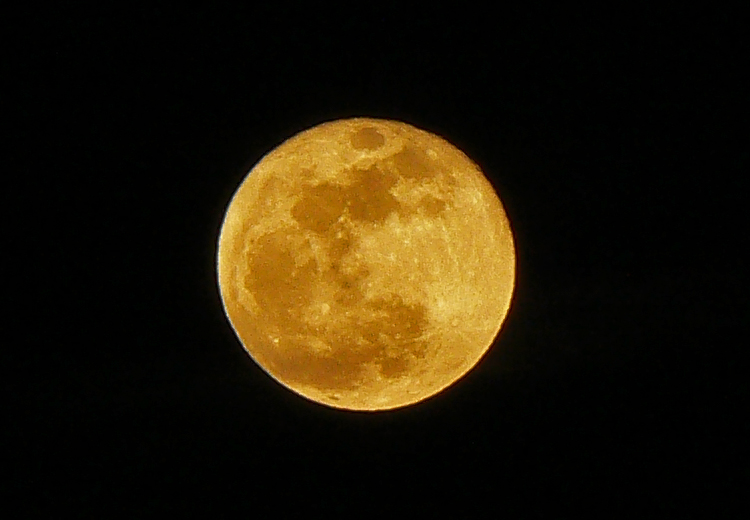 La mia prima Luna