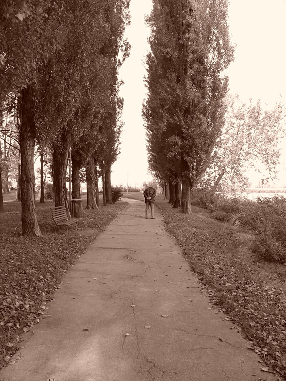 Il percorso della vita