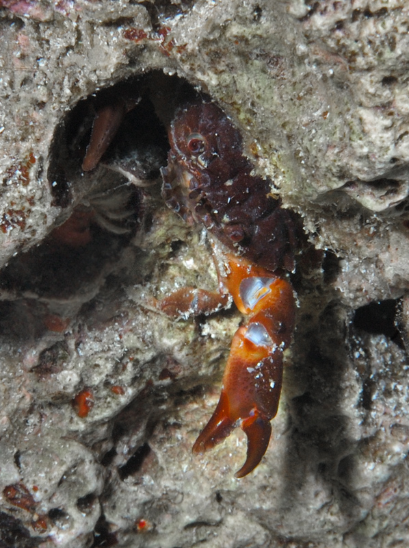 Ciao a tuttiiiiiiiiiiiiiiiiiiiiii