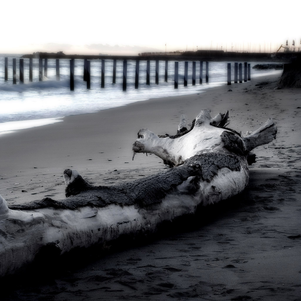 Quasi una...natura morta.