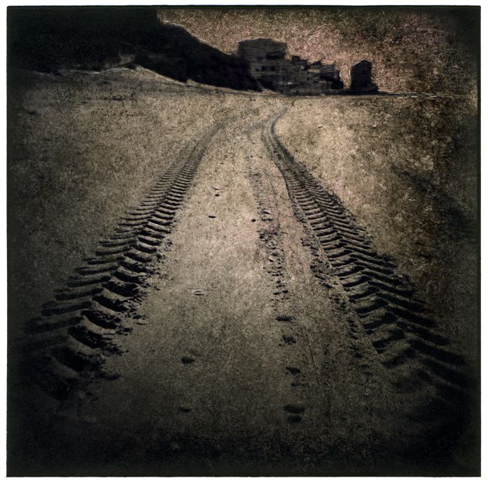 Oliografia Silver Print