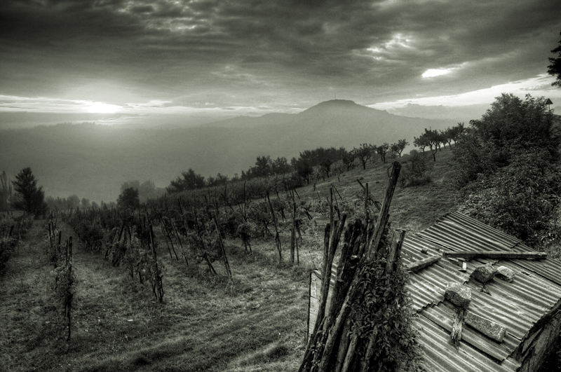 Alba sui Colli Bolognesi