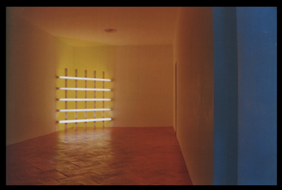 Villa Panza_Flavin1, 07-09-06