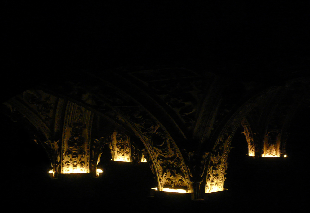 zampilli pietrificati