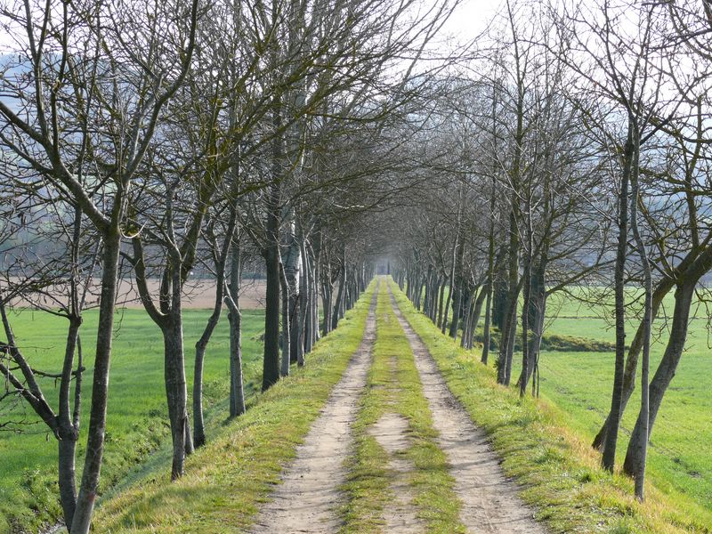 argine che porta al fiume archiano...