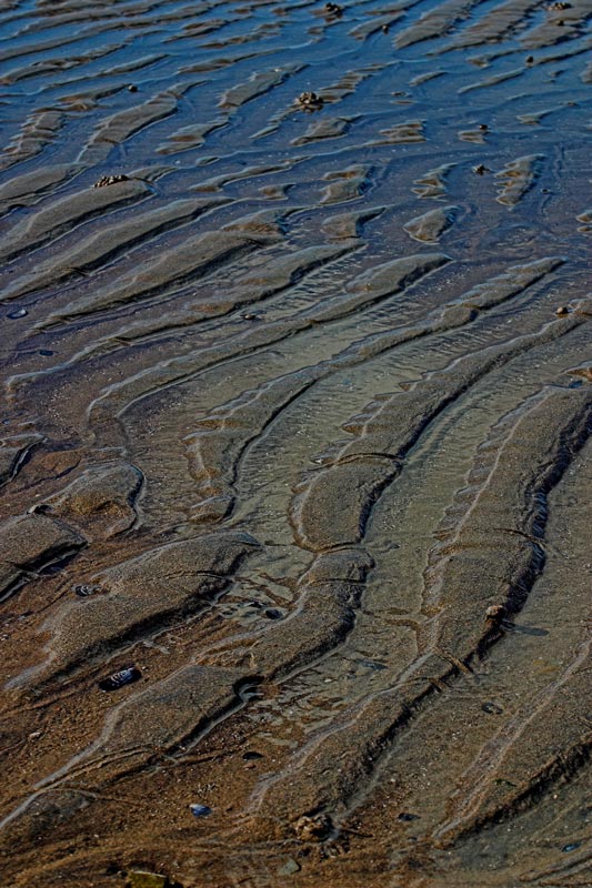 tide marks