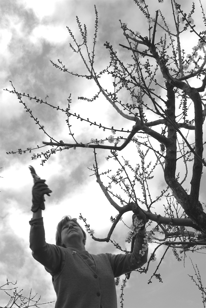 Lavoro primaverileBN