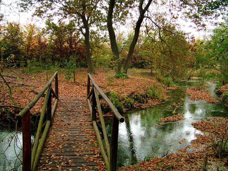 Paesaggio Autunnale "fontanassi" del sile
