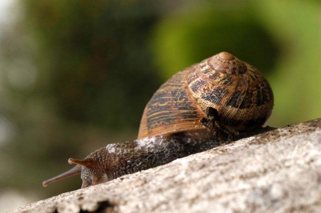 S� forte in discesa eh?