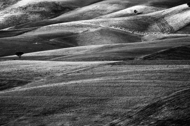 .....tra contrasti e sobriet�....