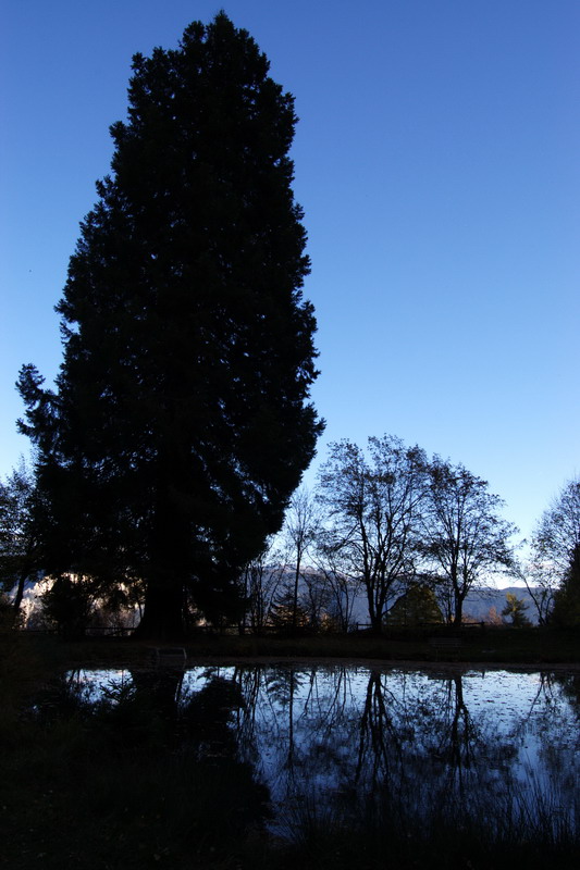 Il gigante e la bambina