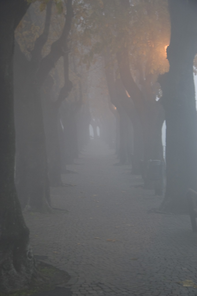 nebbia