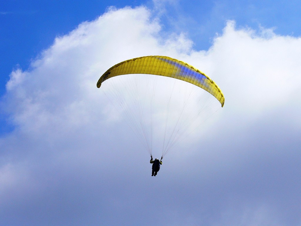 paraglider