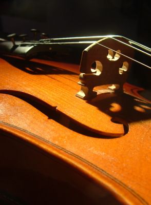 Violino
