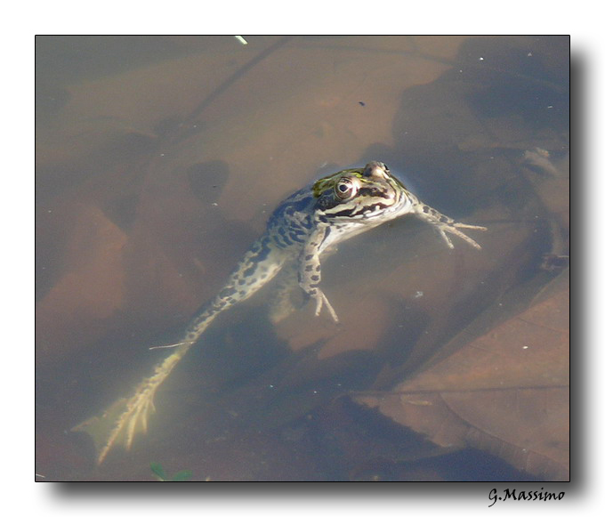 con che macchina scatti ?