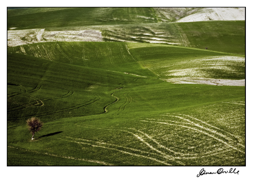 ...tratti di follie....