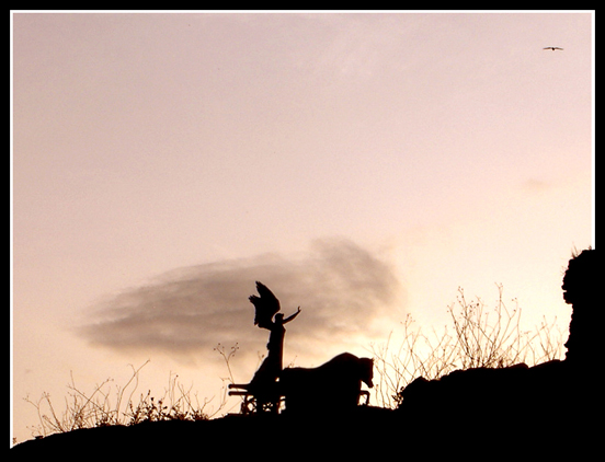 le ali della Libert�