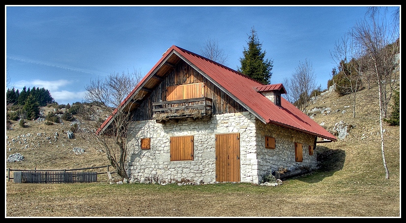 .:Foresta del Cansiglio:.