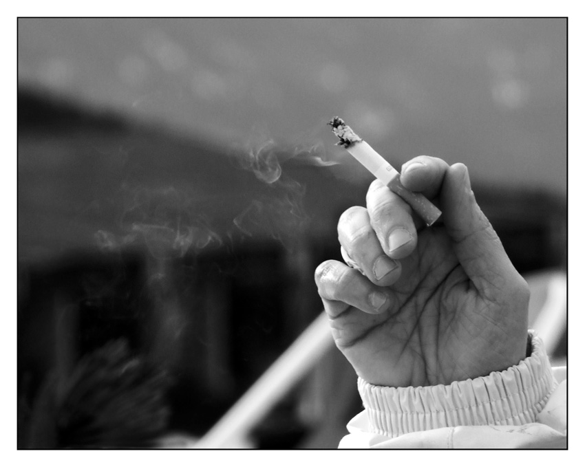 ::: IL LENTO SUICIDIO DEI ... :::